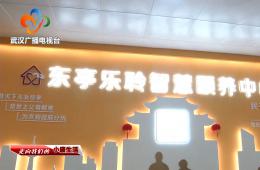 中宣部采访团到访武汉东亭社区云顶集团智慧保养中心